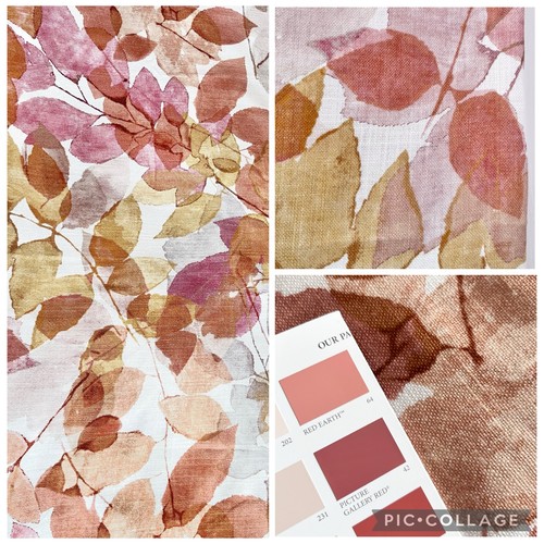 Harlequin expose painterly - expose,