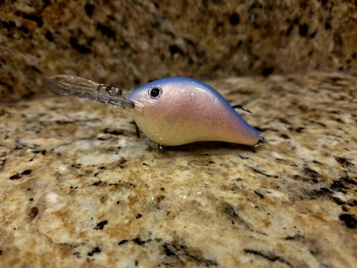 Custom painted rapala 8 - painted, dt-8