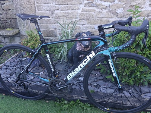 Bianchi infinito carbon - bianchi, cv