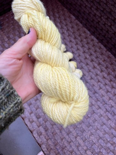 Aran 100g skein handdyed - 1x,