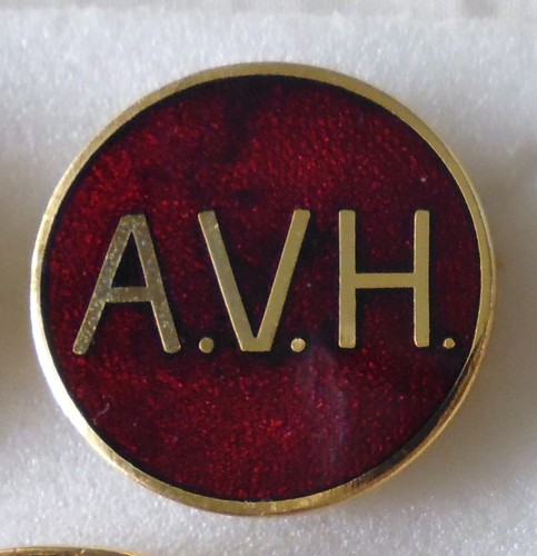 Avon vale hunt enamel - vale,