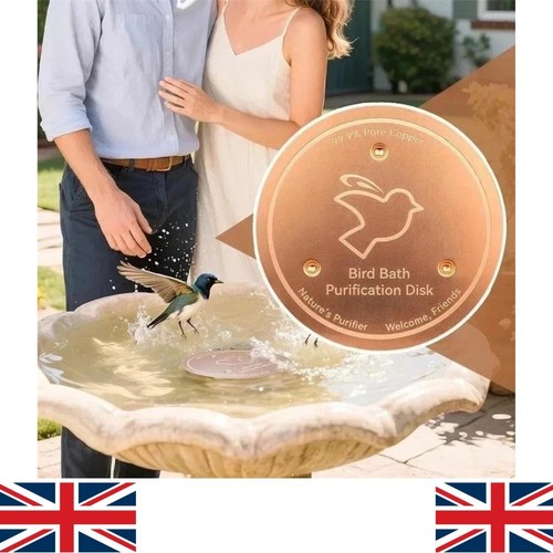 Bird bath copper disk - bird,