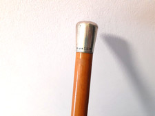 An Antique Silver Top Walking