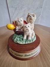 West Highland Terrier By