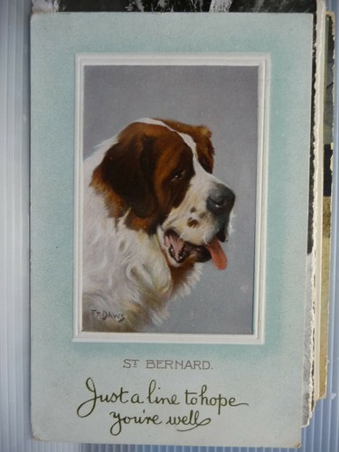 Pu01 0033 postcard st - -,