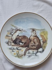 WILDLIFE OF  BRITAIN OTTER