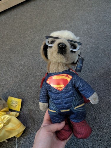 Compare the market - the, superman