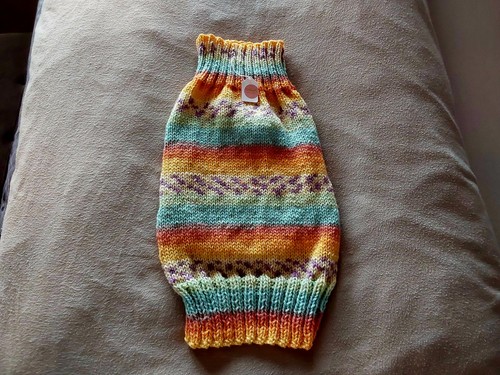 Hand knitted dog jumper - hand,