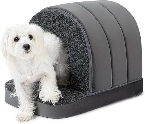 Pëlzin indoor orthopedic dog - orthopedic,