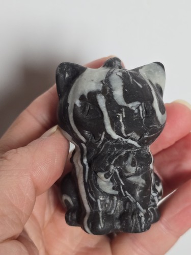 100g crinoid fossil - crinoid, jasper