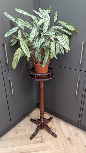 Vintage mahogany pot - pot, stand