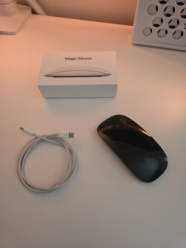 Authentic apple magic mouse - authentic,