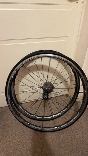 Shimano rs81 c24 ultegra - c24, road