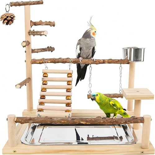 Wooden bird playground parrot - playground,