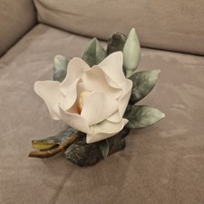 Vtg. Beautiful Magnolia Flower