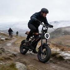 M16 Electric Bike Adults Fat