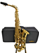 Freshman Asaxs Saxophone With