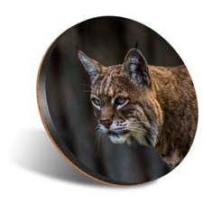 1 x Round 12cm Coaster -