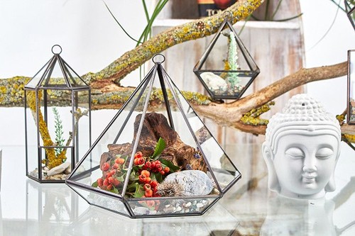 Glass terrarium small - -,