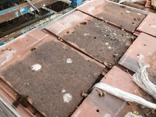 Reclaimed Marley Modern pan tile £1.00 concrete roof Brum base 700 in stock