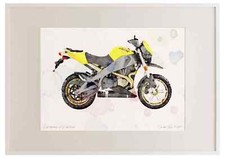 A3 Photo Frame Buell Ulysses