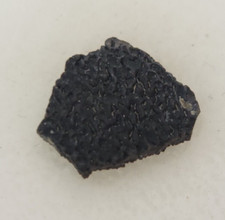 Hadrosaur Egg Shell Fossil -