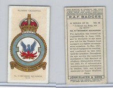 P72-172b Player, RAF Badges