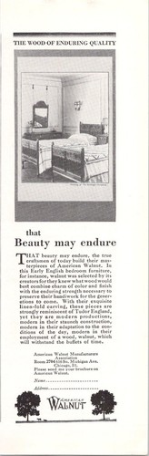 American walnut 1928 - american,