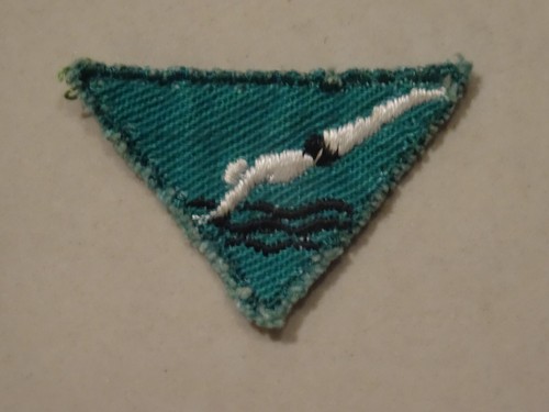 Cub scout activity proficiency - scout, activity/proficiency