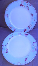 2 Churchill China Geisha Blue