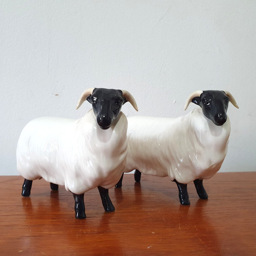 Pair beswick sheep ram - pair,