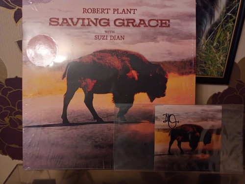 Robert plant saving - "saving, grace"