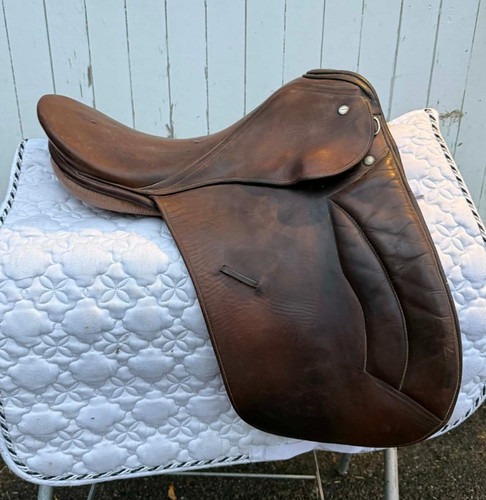 Kieffer english dressage - english,