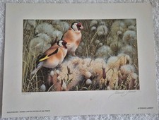 Terence Lambert Goldfinches