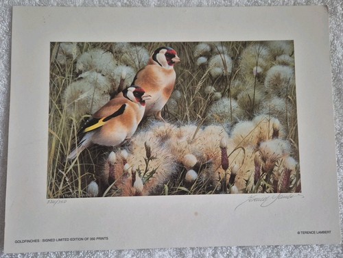 Terence lambert goldfinches - terence,