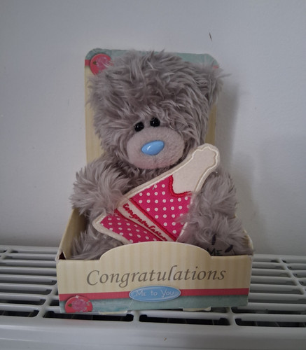 You tatty teddy grey - you,