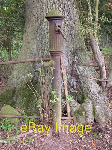 Old water pump neen sollars - old,