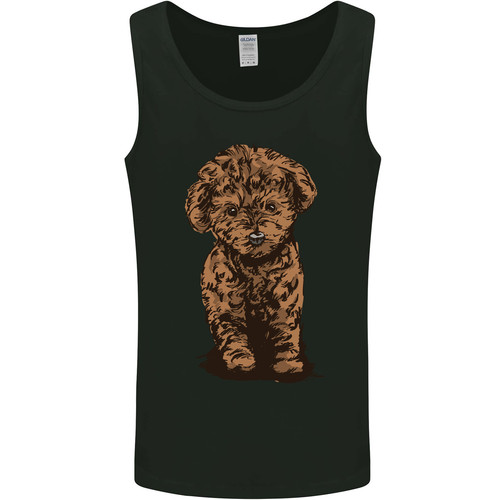 Dogs cute labradoodle - labradoodle, puppy