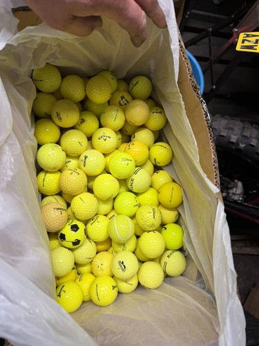 200 yellow mixed - yellow,