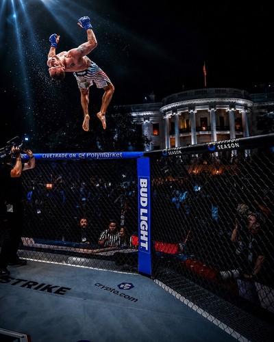 White house ufc - freedom, 250