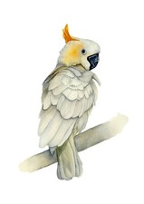 Yellow Crested Cockatoo Wildlife Print from an Original Watercolour Painting