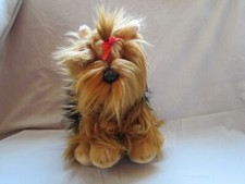 Yorkshire Terrier by Adventure