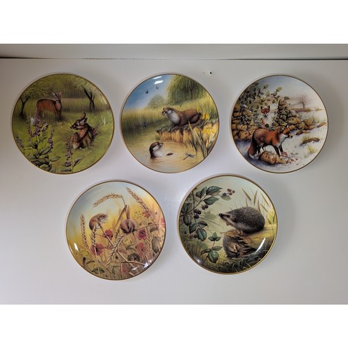 Spode collectible wild - spode, series