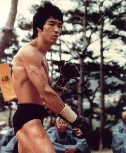 Bruce lee photo - photo, glossy