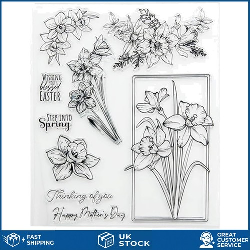Elegant daffodil floral - daffodil,