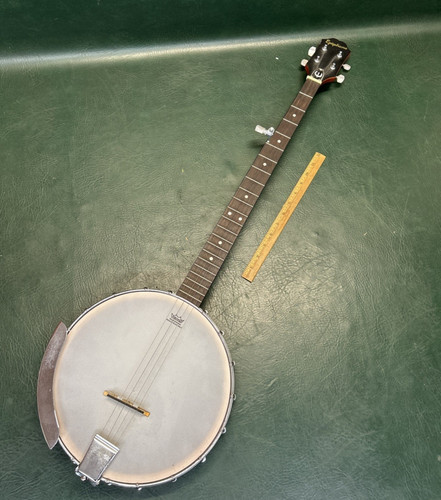 Epiphone 100 5 string - ,
