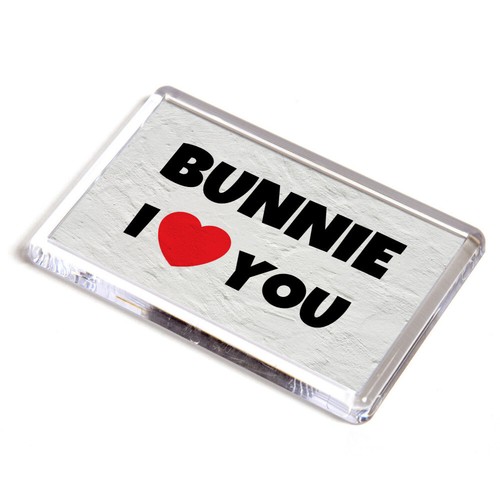 Fridge magnet bunnie - -, i