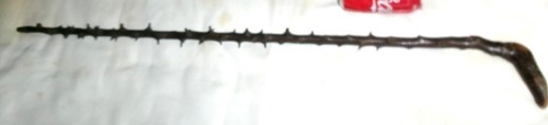 Antique irish blackthorn - irish,