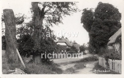 Arkesden saffron walden - saffron,