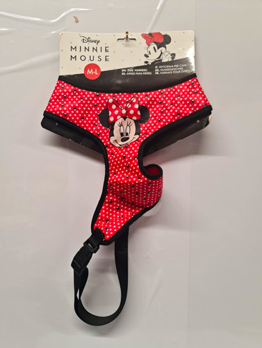 Disney minnie mouse - disney,
